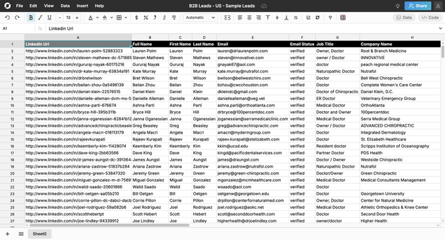 B2B Leads Database Sample 1
