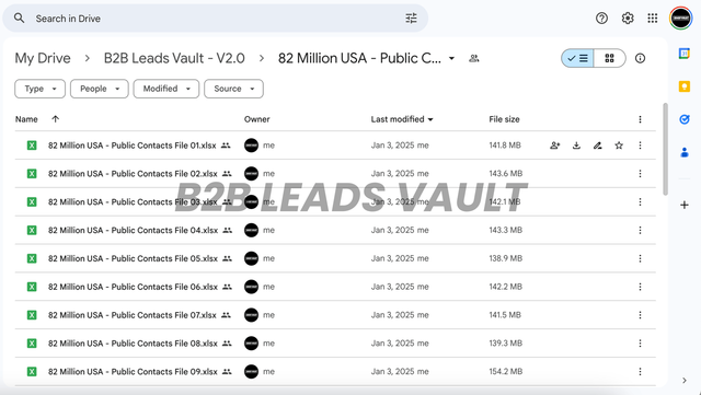 B2B Leads Database Sample 6